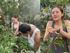 Ảnh bìa bài viết 862650