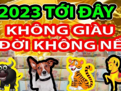 Ảnh bìa bài viết 862762
