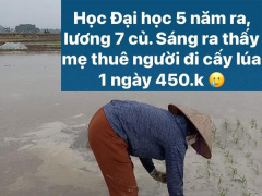 Ảnh bìa bài viết 862970