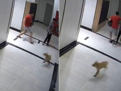 Ảnh bìa bài viết 863060