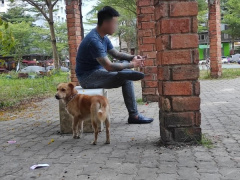 Ảnh bìa bài viết 863256