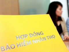 Ảnh bìa bài viết 863558