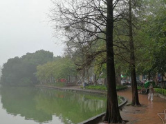 Ảnh bìa bài viết 863423