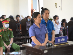 Ảnh bìa bài viết 864012