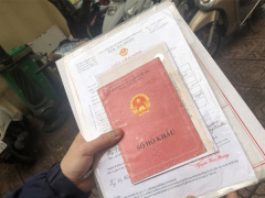 Ảnh bìa bài viết 863913