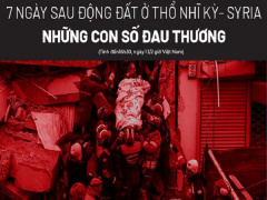 Ảnh bìa bài viết 864020