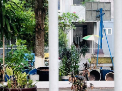 Ảnh bìa bài viết 864178