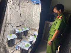 Ảnh bìa bài viết 864065