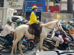 Ảnh bìa bài viết 864270