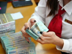Ảnh bìa bài viết 864676