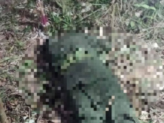 Ảnh bìa bài viết 864968