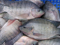 Ảnh bìa bài viết 865069