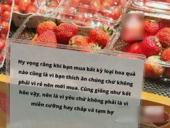 Ảnh bìa bài viết 865039