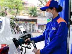 Ảnh bìa bài viết 865043