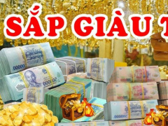 Ảnh bìa bài viết 865008