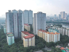Ảnh bìa bài viết 865238