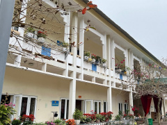 Ảnh bìa bài viết 865494
