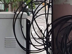 Ảnh bìa bài viết 865565