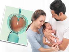Ảnh bìa bài viết 865706