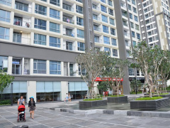Ảnh bìa bài viết 865737