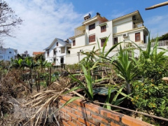 Ảnh bìa bài viết 865946