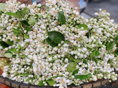 Ảnh bìa bài viết 866071