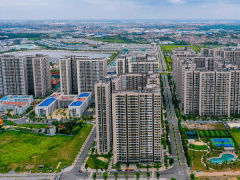Ảnh bìa bài viết 866197
