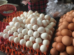Ảnh bìa bài viết 866210