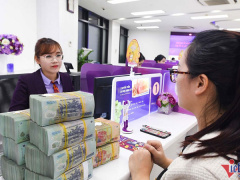 Ảnh bìa bài viết 866311