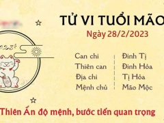 Ảnh bìa bài viết 866280
