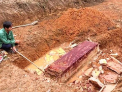Ảnh bìa bài viết 866453