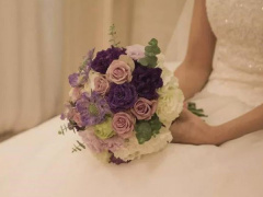 Ảnh bìa bài viết 866650