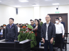 Ảnh bìa bài viết 866753