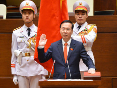 Ảnh bìa bài viết 866661