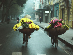 Ảnh bìa bài viết 866782