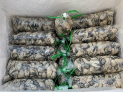 Ảnh bìa bài viết 867751