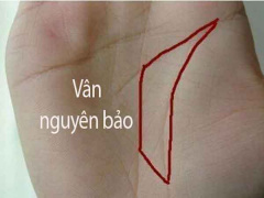 Ảnh bìa bài viết 867894