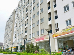 Ảnh bìa bài viết 868037