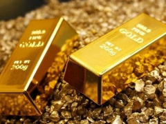 Ảnh bìa bài viết 868209