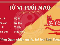Ảnh bìa bài viết 868174