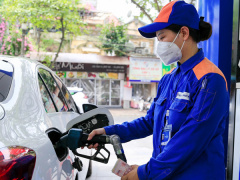 Ảnh bìa bài viết 868410