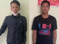 Ảnh bìa bài viết 868556