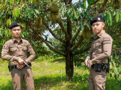 Ảnh bìa bài viết 868937
