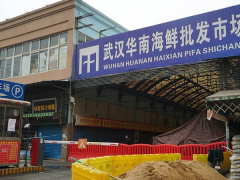 Ảnh bìa bài viết 869113
