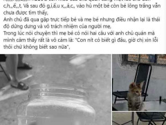 Ảnh bìa bài viết 869050