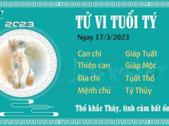 Ảnh bìa bài viết 869021