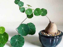 Ảnh bìa bài viết 869297
