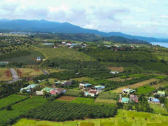 Ảnh bìa bài viết 869522