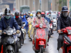 Ảnh bìa bài viết 869950