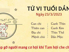 Ảnh bìa bài viết 869959